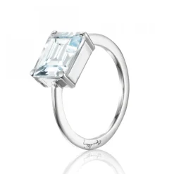 A Macaron Dream Ring