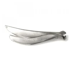 Antares Silverbrosch