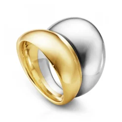 Curve Ring Silver/Guld