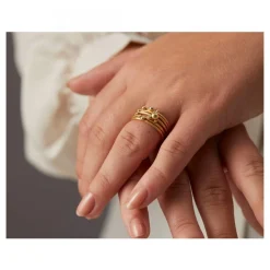 Delphis Ring 4 Guld