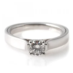 Double Love Ring
