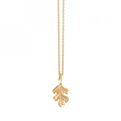 Forest Ekblad 3 cm