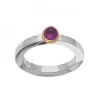 Possibilities Silverring Ametist Guld