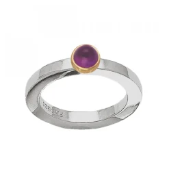 Possibilities Silverring Ametist Guld