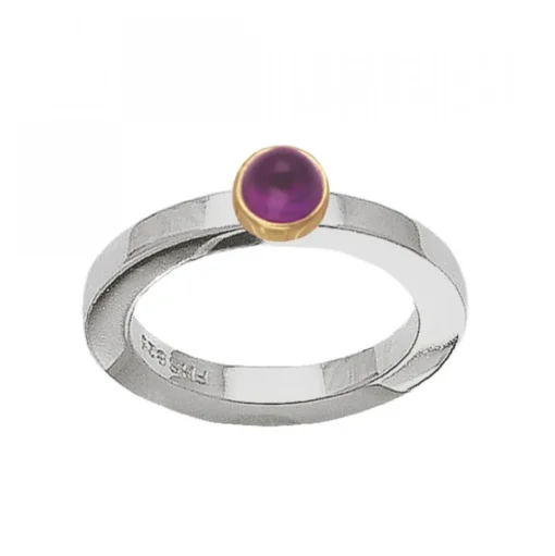 Possibilities Silverring Ametist Guld