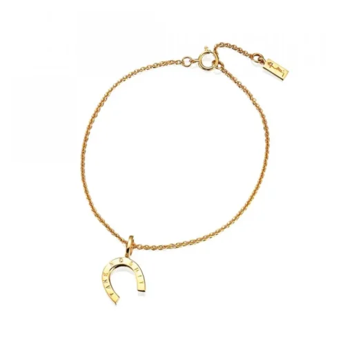 Take no shit bracelet