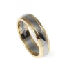 Tvåfärgad Guldring 5,5mm
